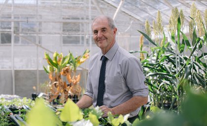 David Craik standing in a greenhouse, surrounded by plants